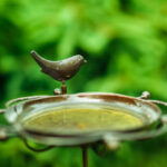 Bird baths are great conversation pieces and add interest amongst the flowers and shrubs