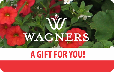 wagners-giftcards