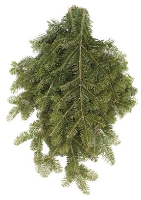 Fresh Cut Real Boughs 10 Evergreen White Pine Norway Spruce Winter Wedding Bows 